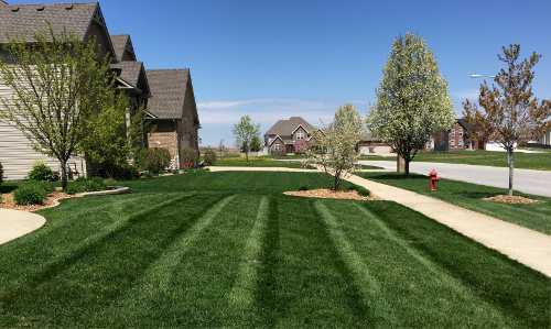 Weekly lawn mowing in plainfield