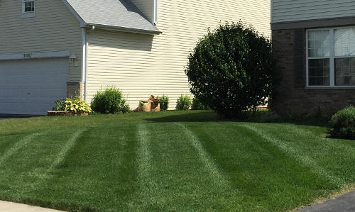 Front lawn in Plainfield for our mowing service.