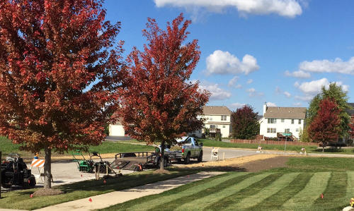 Lawn renovaion in Oswego, Illinois