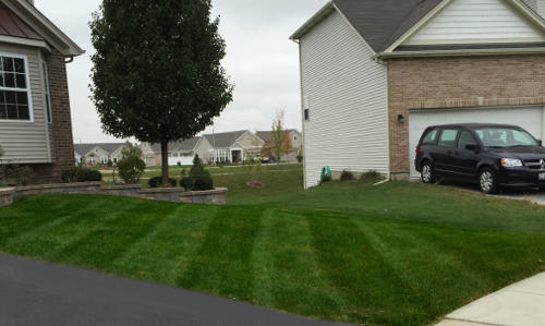 North Plainfield, Illinois mowing service