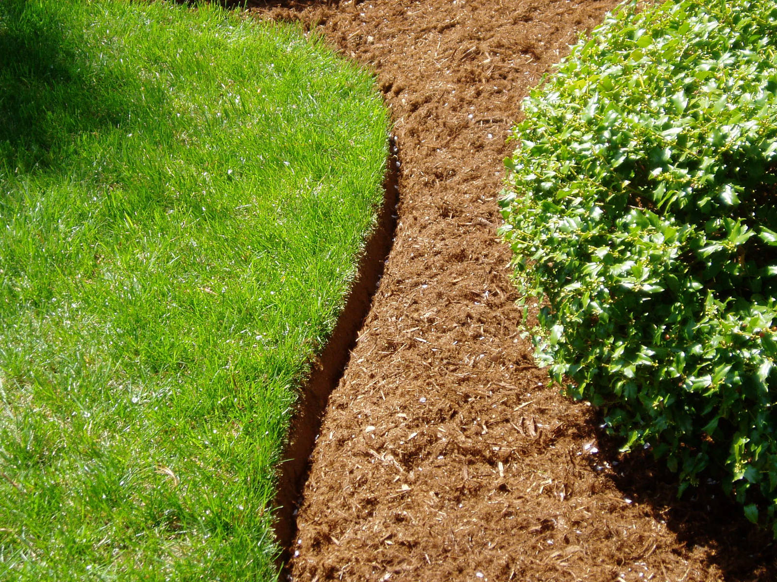 Spreading of mulch