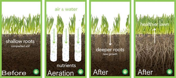 Aeration illustration explanation