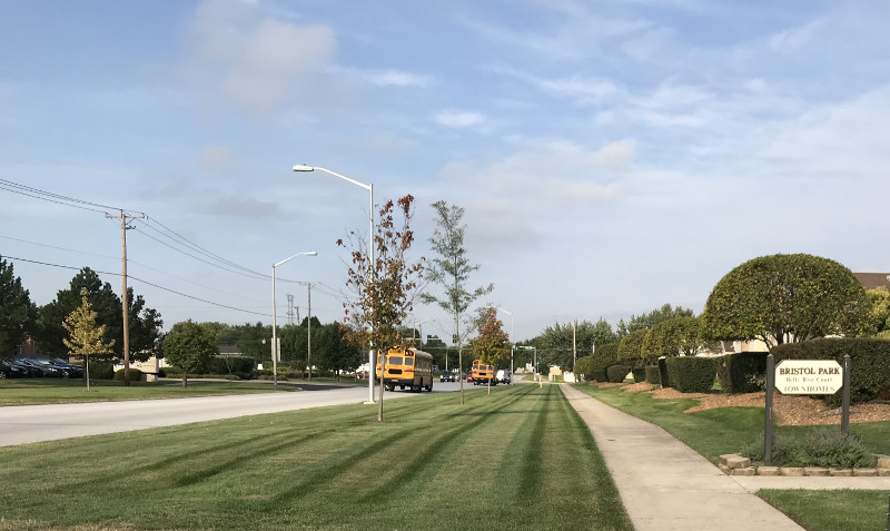 Freshly mowed lawn in residential area subdivision