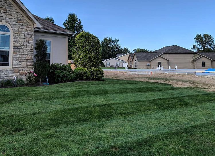 Freshly mowed yard