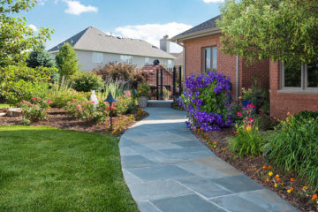 Flower beds with flowers