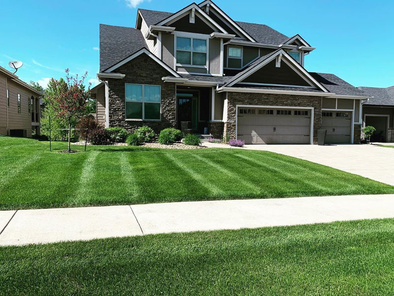 Front lawn with green grass