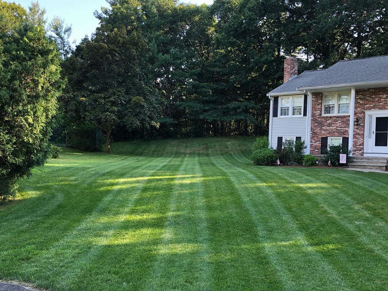 Lawn stripes in Aurora, IL