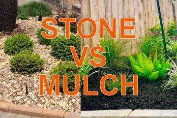 stone vs mulch